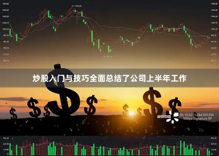 炒股入门与技巧全面总结了公司上半年工作
