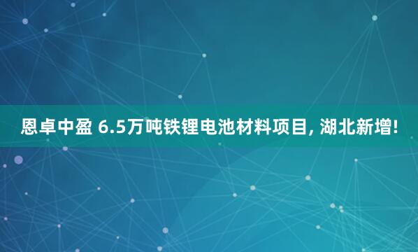 恩卓中盈 6.5万吨铁锂电池材料项目, 湖北新增!