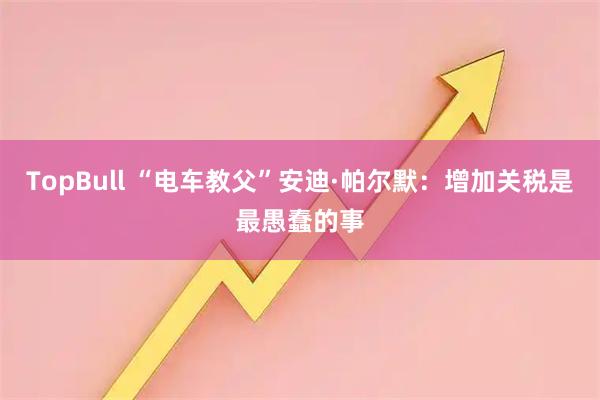 TopBull “电车教父”安迪·帕尔默：增加关税是最愚蠢的事
