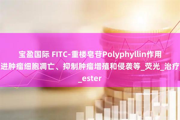 宝盈国际 FITC-重楼皂苷Polyphyllin作用包括促进肿瘤细胞凋亡、抑制肿瘤增殖和侵袭等_荧光_治疗_ester