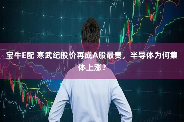 宝牛E配 寒武纪股价再成A股最贵，半导体为何集体上涨？
