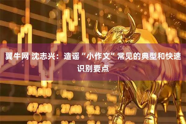 翼牛网 沈志兴：造谣“小作文”常见的典型和快速识别要点