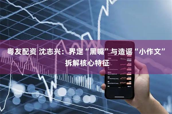 粤友配资 沈志兴：界定“黑嘴”与造谣“小作文” 拆解核心特征