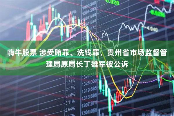 嗨牛股票 涉受贿罪、洗钱罪，贵州省市场监督管理局原局长丁雄军被公诉